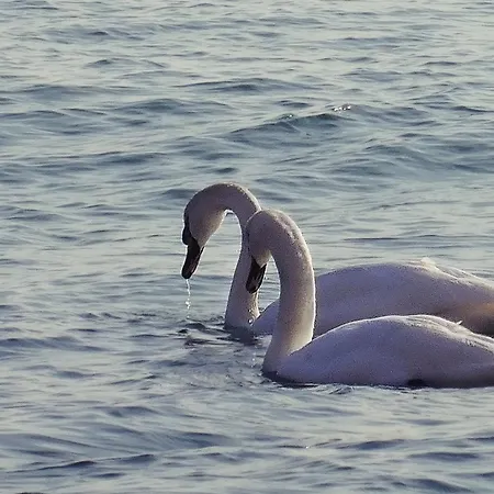 Апартаменты Etara - 1 Rey&mar Saint *