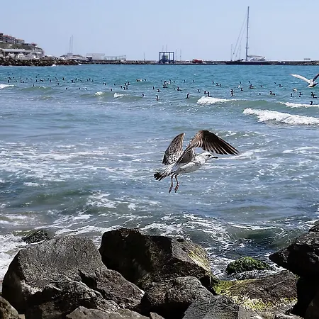 Etara - 1 Rey&mar Saint Апартаменты