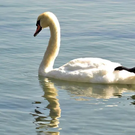 Etara - 1 Rey&mar Saint Апартаменты *