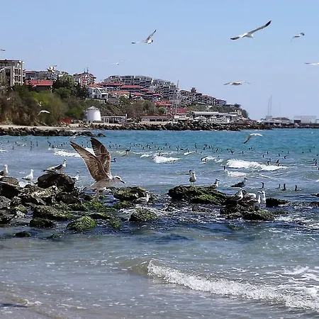 Etara - 1 Rey&mar Saint Daire Sveti Vlas