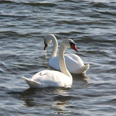 Etara - 1 Rey&mar Saint