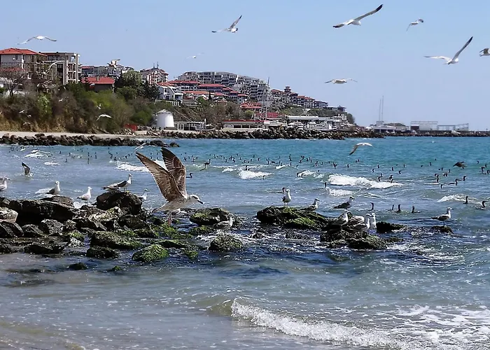 Etara - 1 Rey&mar Saint Lejlighed Sveti Vlas