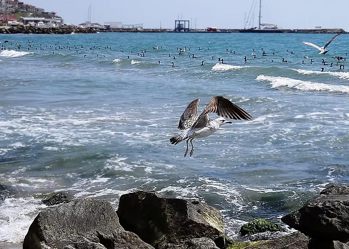 Etara - 1 Rey&mar Saint Lejlighed