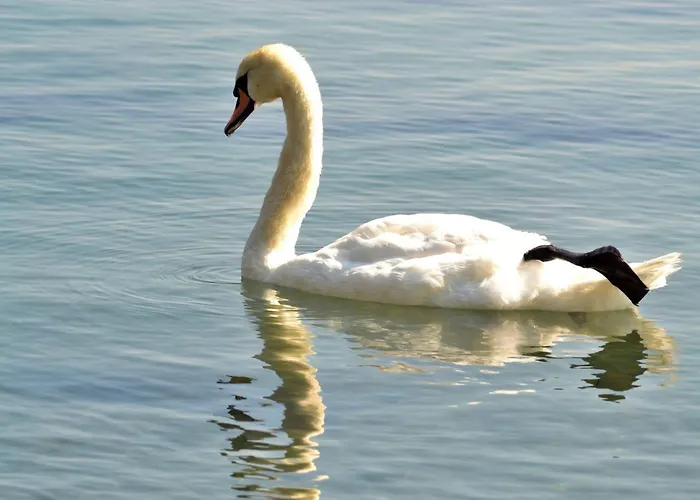 Etara - 1 Rey&mar Saint Lejlighed *